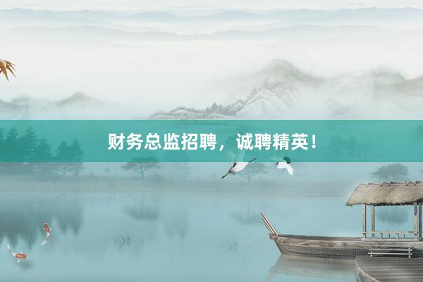 财务总监招聘，诚聘精英！